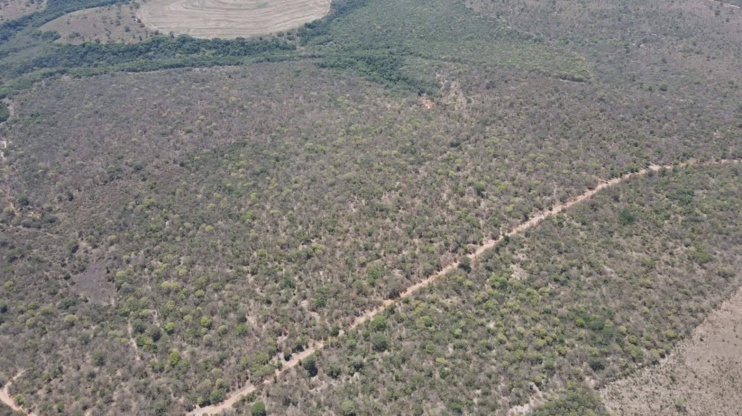 EXCELENTE FAZENDA AGRICULTÁVEL EM PRESIDENTE OLEGÁRIO/MG