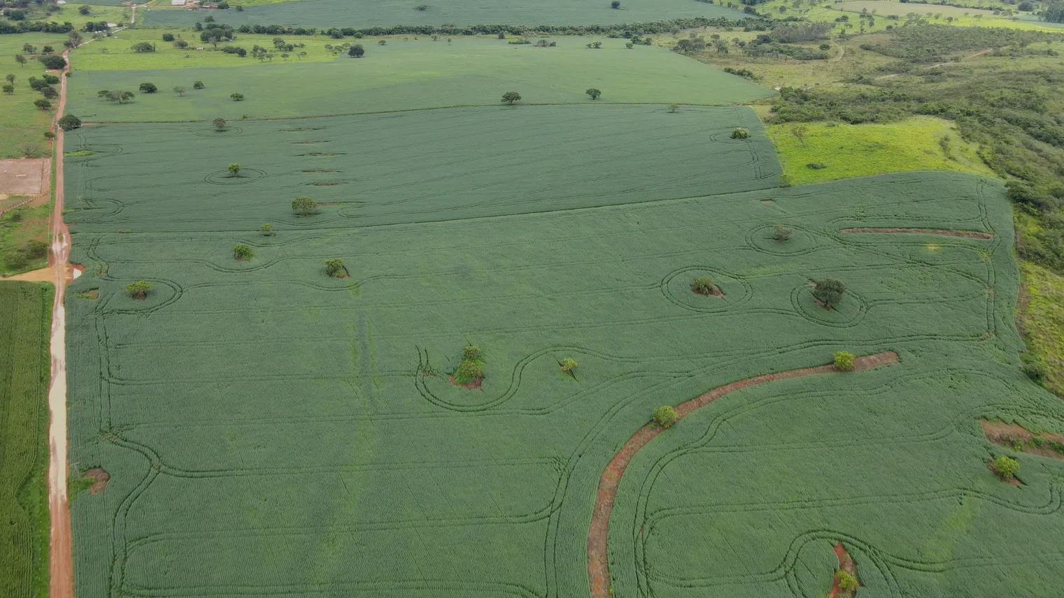 FAZENDA EM LAVOURA BRANCA NA ZONA RURAL DE COROMANDEL/MG