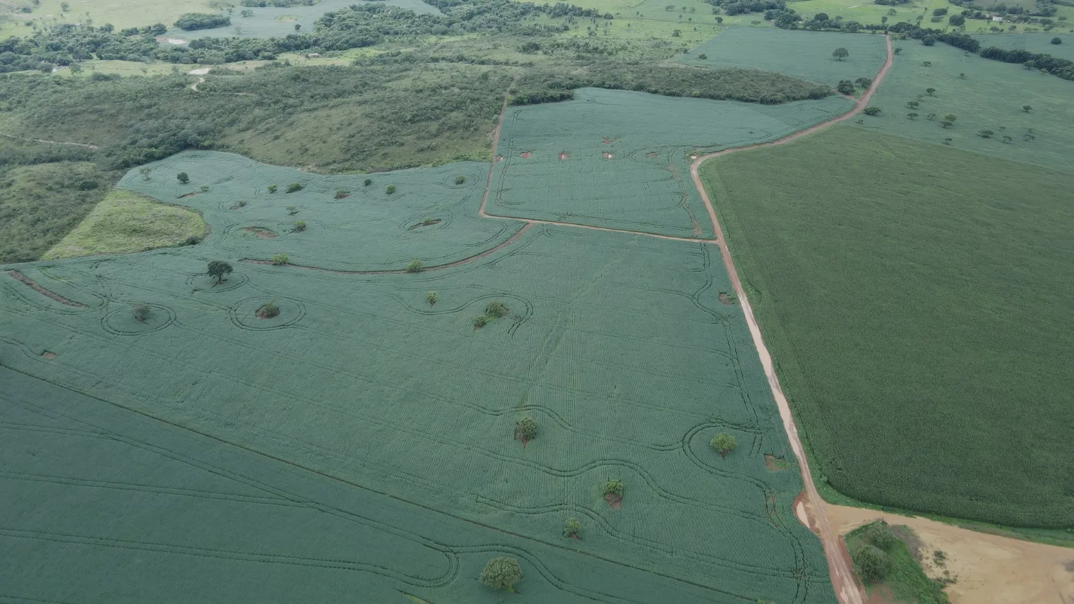 FAZENDA EM LAVOURA BRANCA NA ZONA RURAL DE COROMANDEL/MG