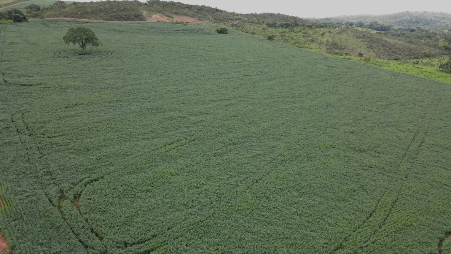 FAZENDA EM LAVOURA BRANCA NA ZONA RURAL DE COROMANDEL/MG