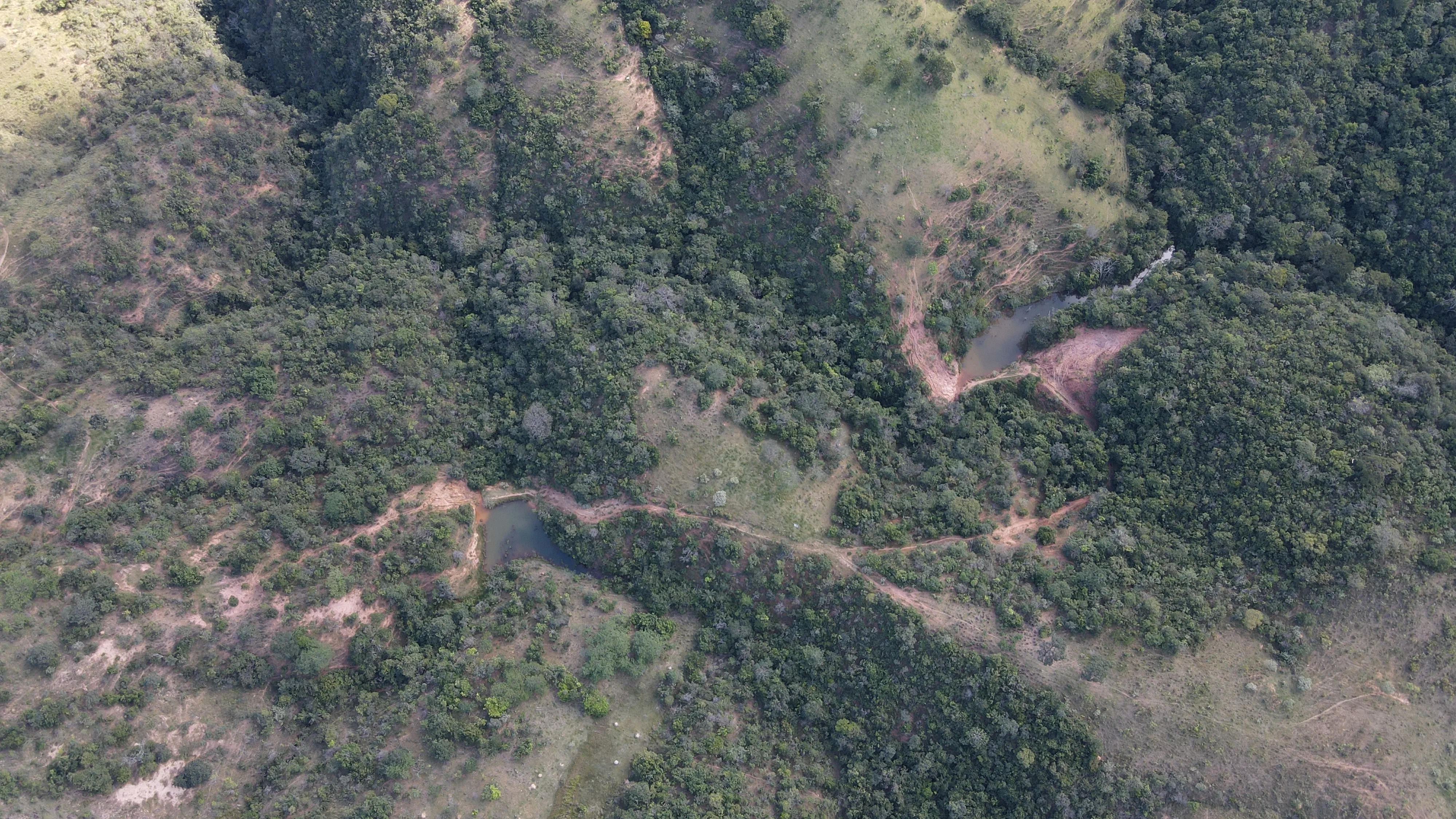 EXCELENTE FAZENDA COM DUPLA APTIDÃO EM VAZANTE/ MG - 360 HECTARES