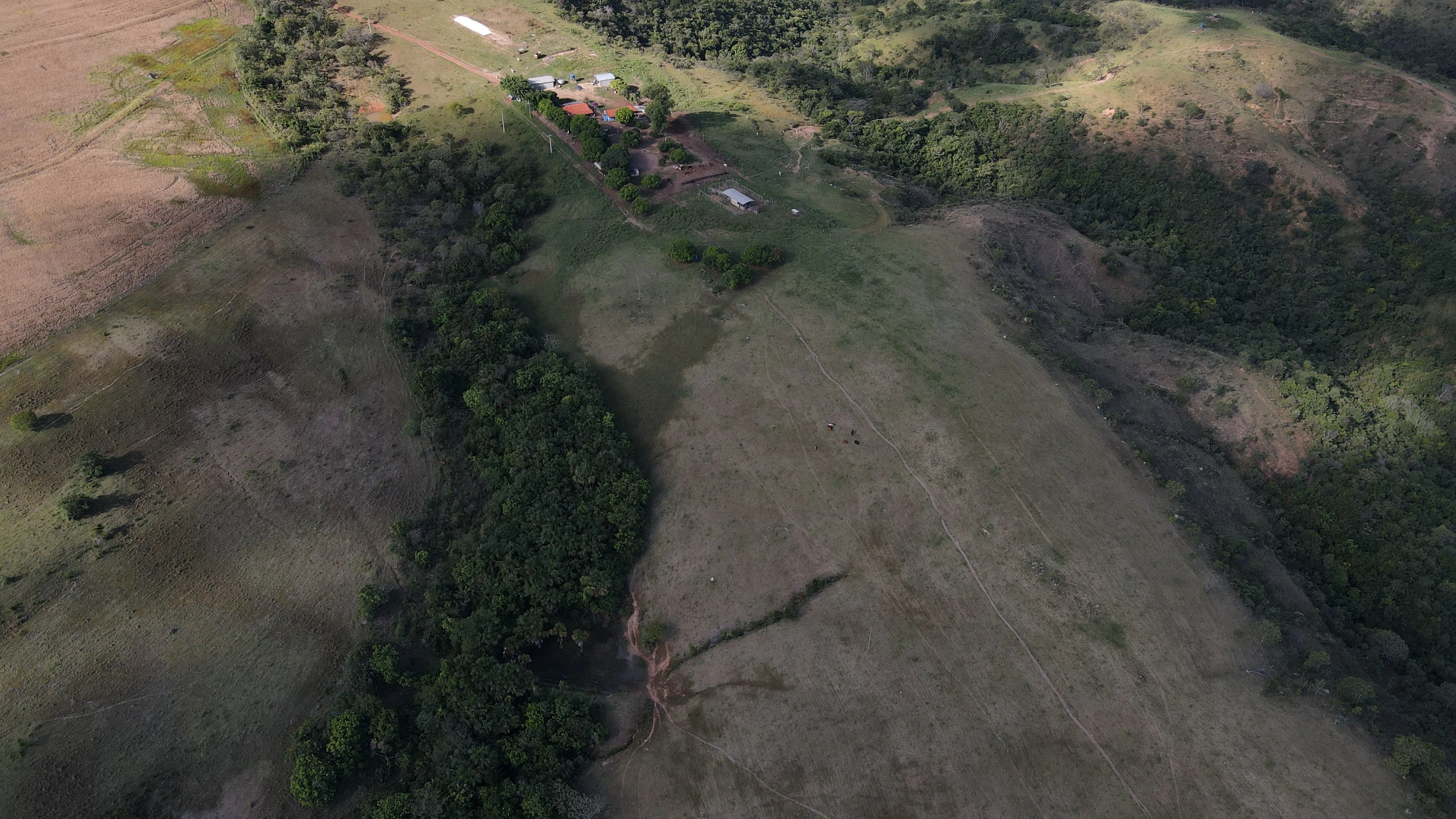 EXCELENTE FAZENDA COM DUPLA APTIDÃO EM VAZANTE/ MG - 360 HECTARES