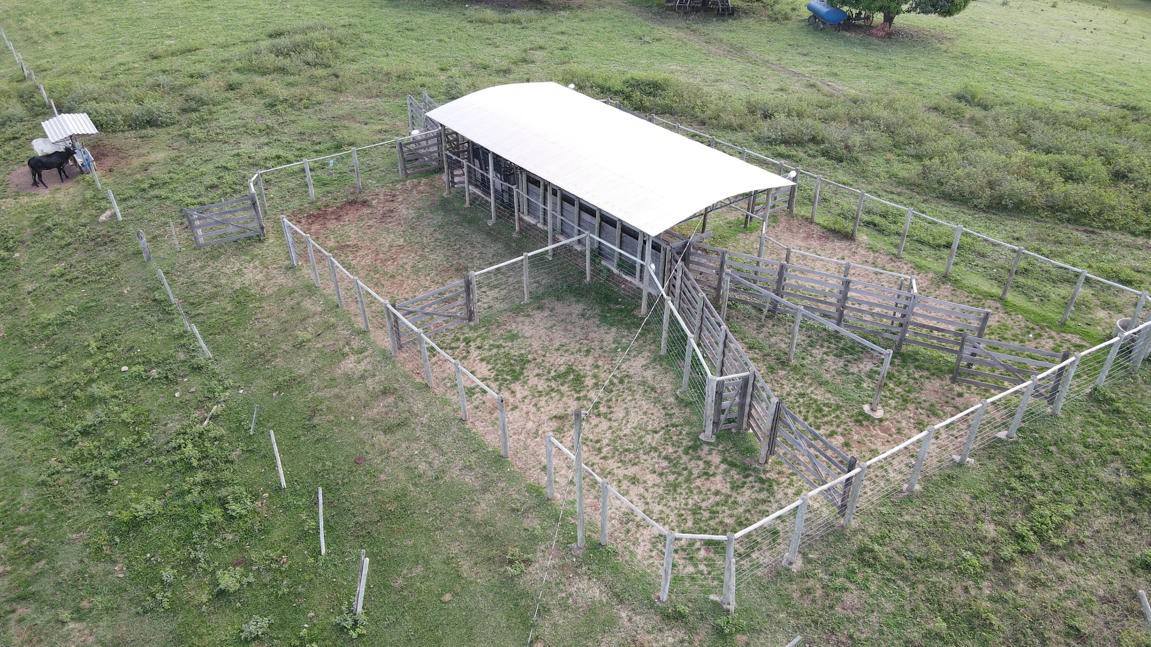 EXCELENTE FAZENDA COM DUPLA APTIDÃO EM VAZANTE/ MG - 360 HECTARES