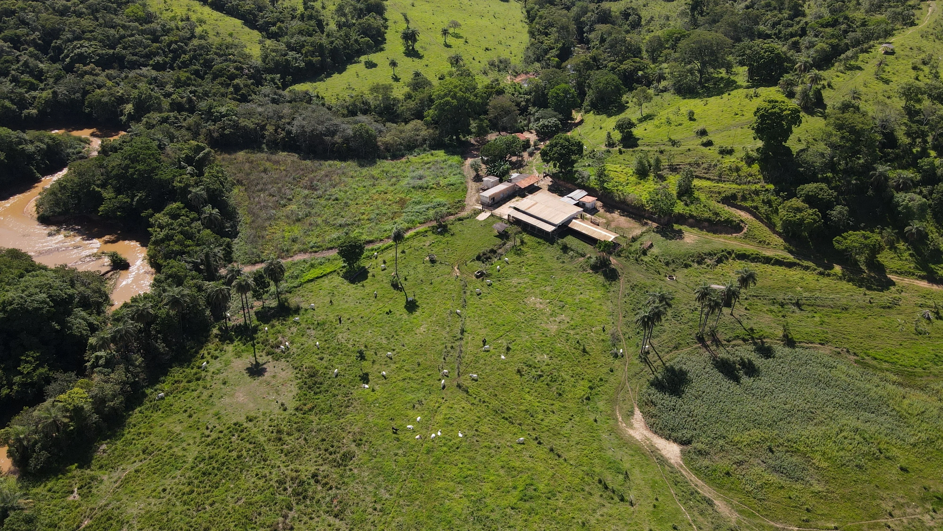 FAZENDA DE DUPLA APTIDÃO - SERRA DO SALITRE/MG