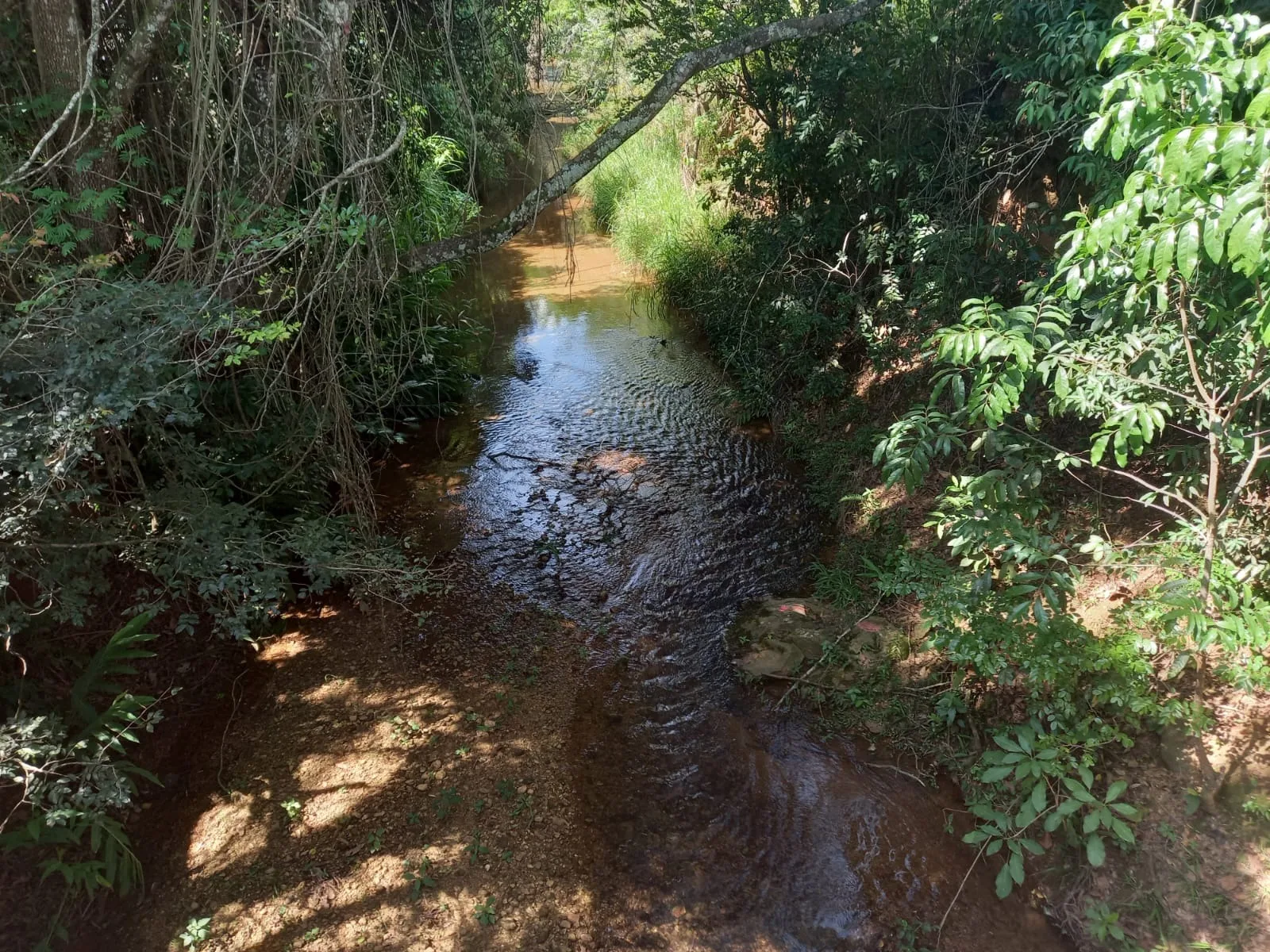 FAZENDA DE DUPLA APTIDÃO - SERRA DO SALITRE/MG