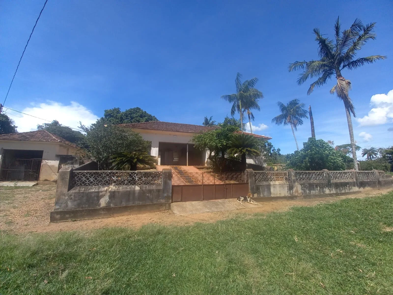 FAZENDA DE DUPLA APTIDÃO - SERRA DO SALITRE/MG