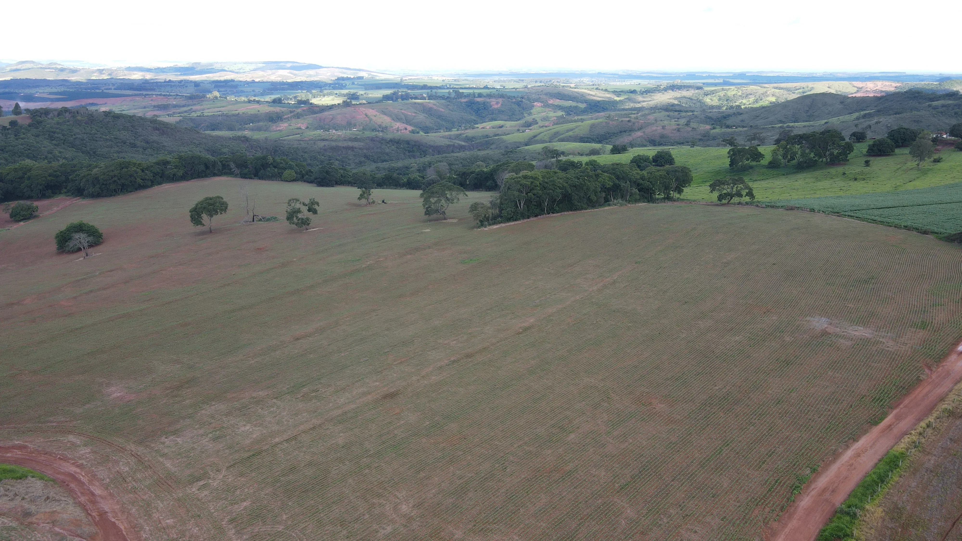 FAZENDA EM PANTANO, PATOS DE MINAS