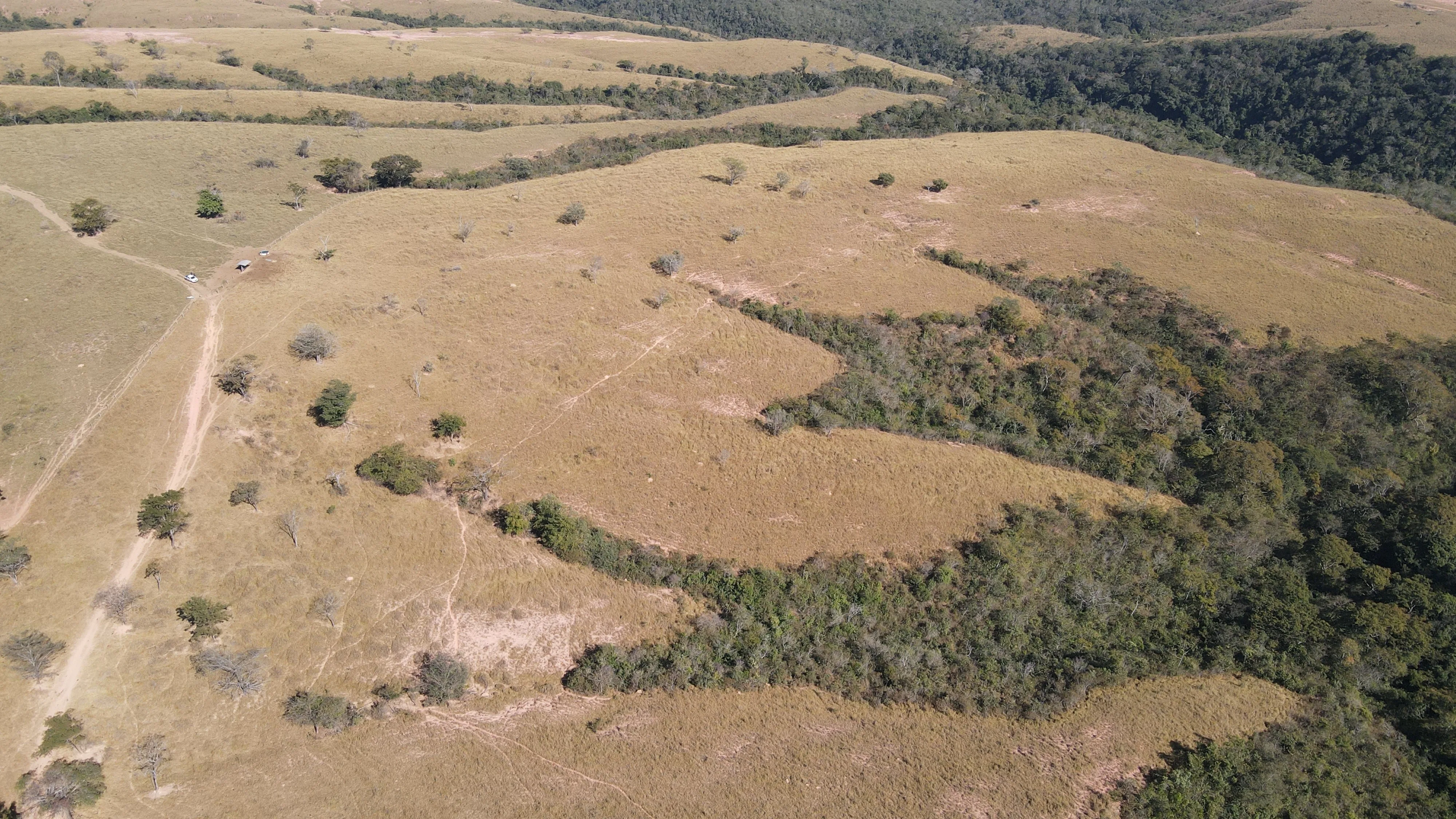 FAZENDA EM PANTANO, PATOS DE MINAS