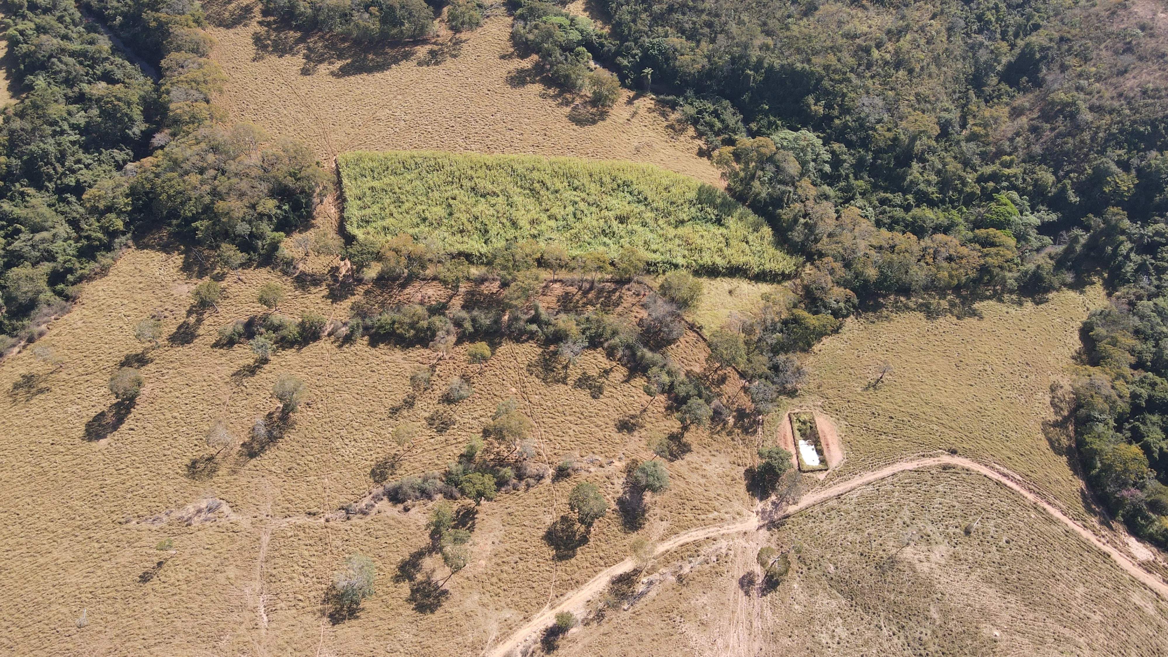 FAZENDA EM PANTANO, PATOS DE MINAS