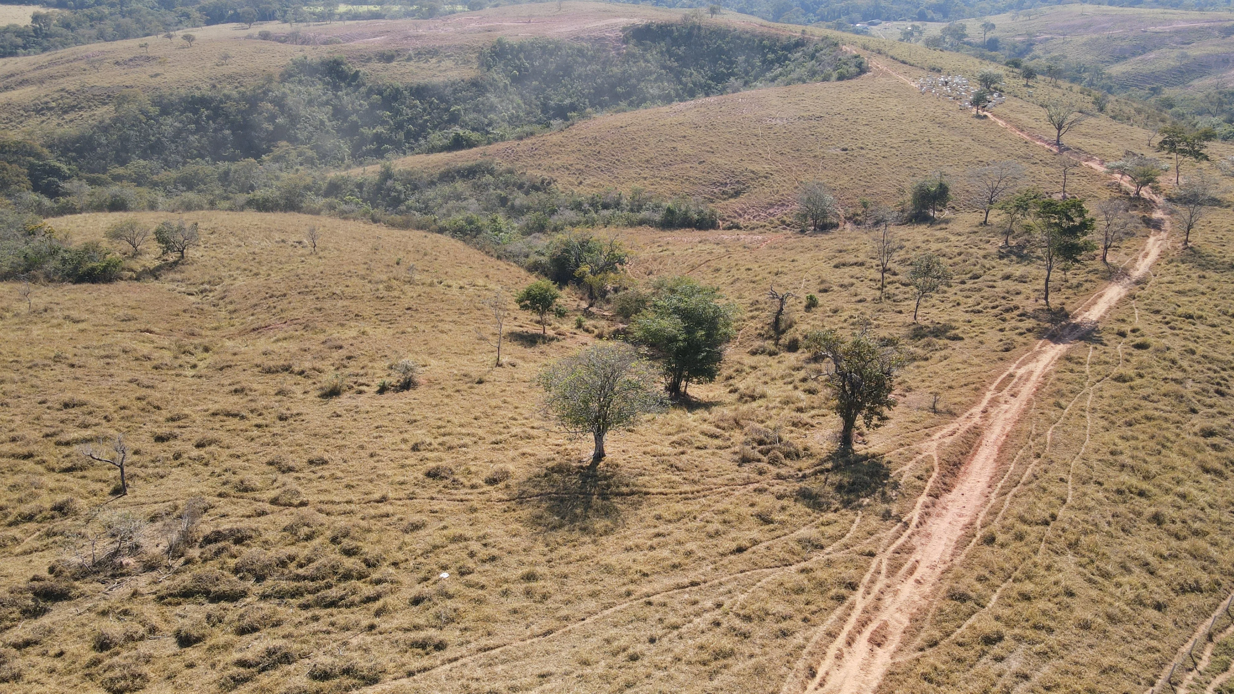 FAZENDA EM PANTANO, PATOS DE MINAS