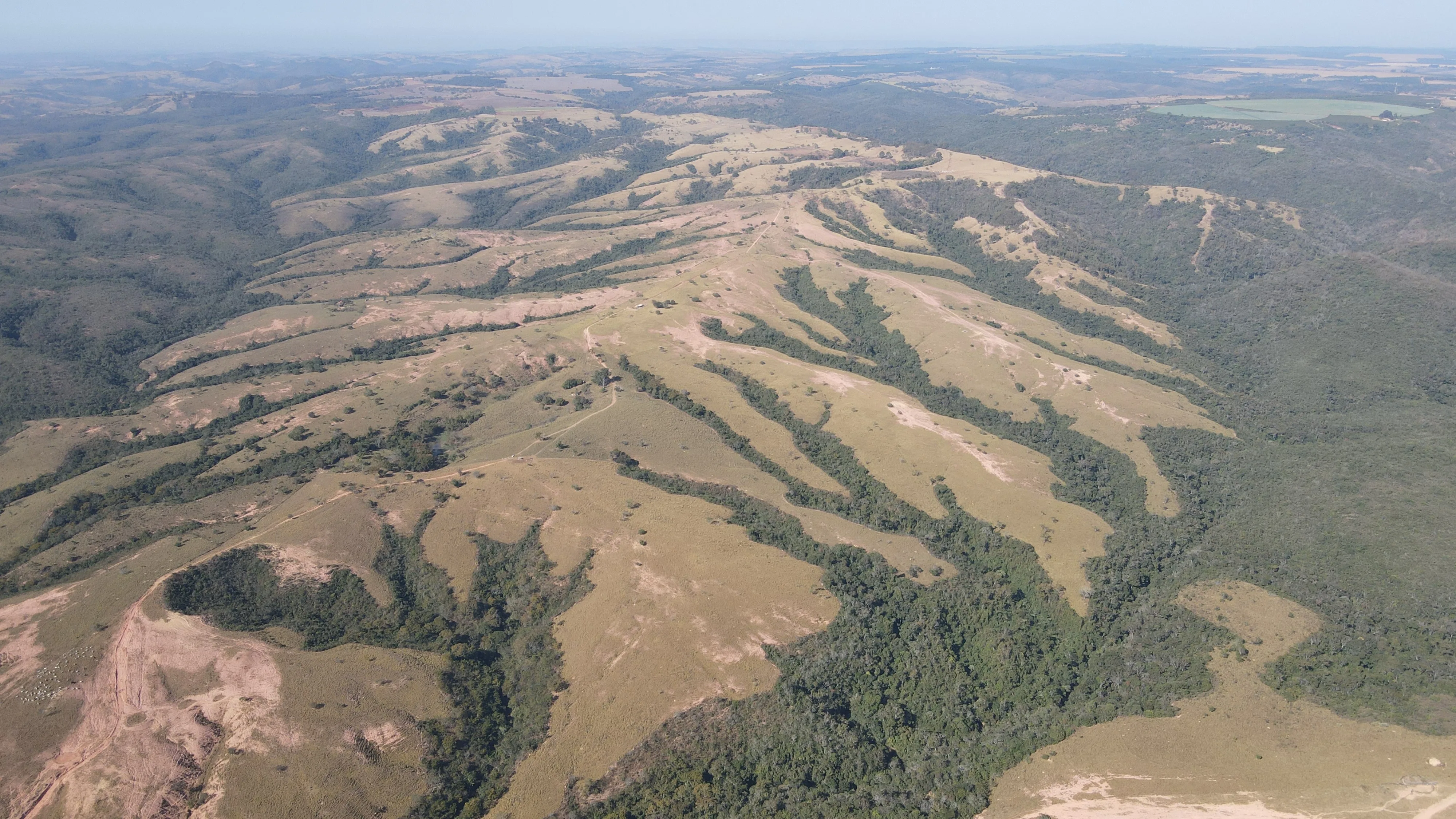 FAZENDA EM PANTANO, PATOS DE MINAS