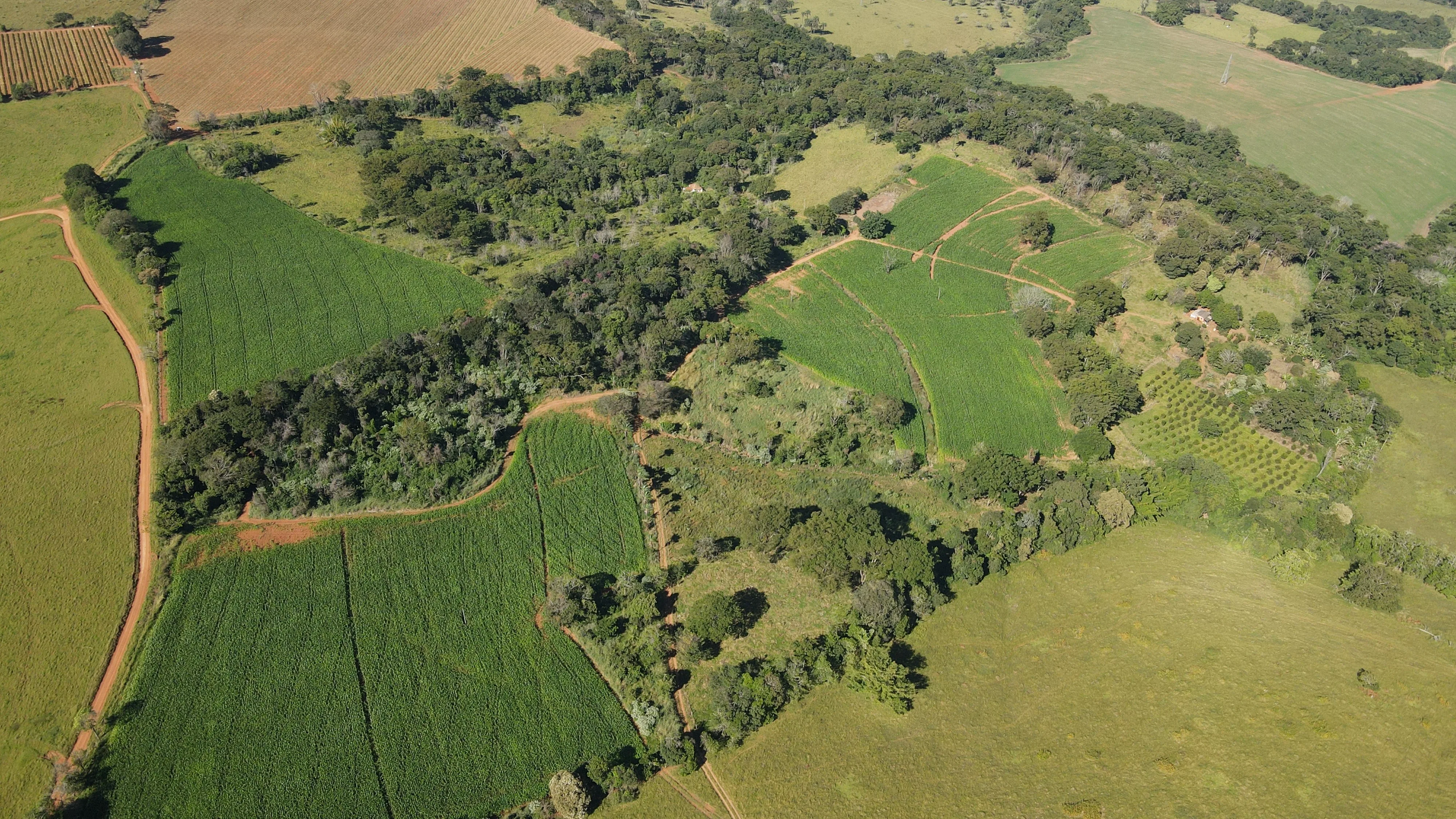 FAZENDA EM SÃO BENEDITO, PATROCÍNIO