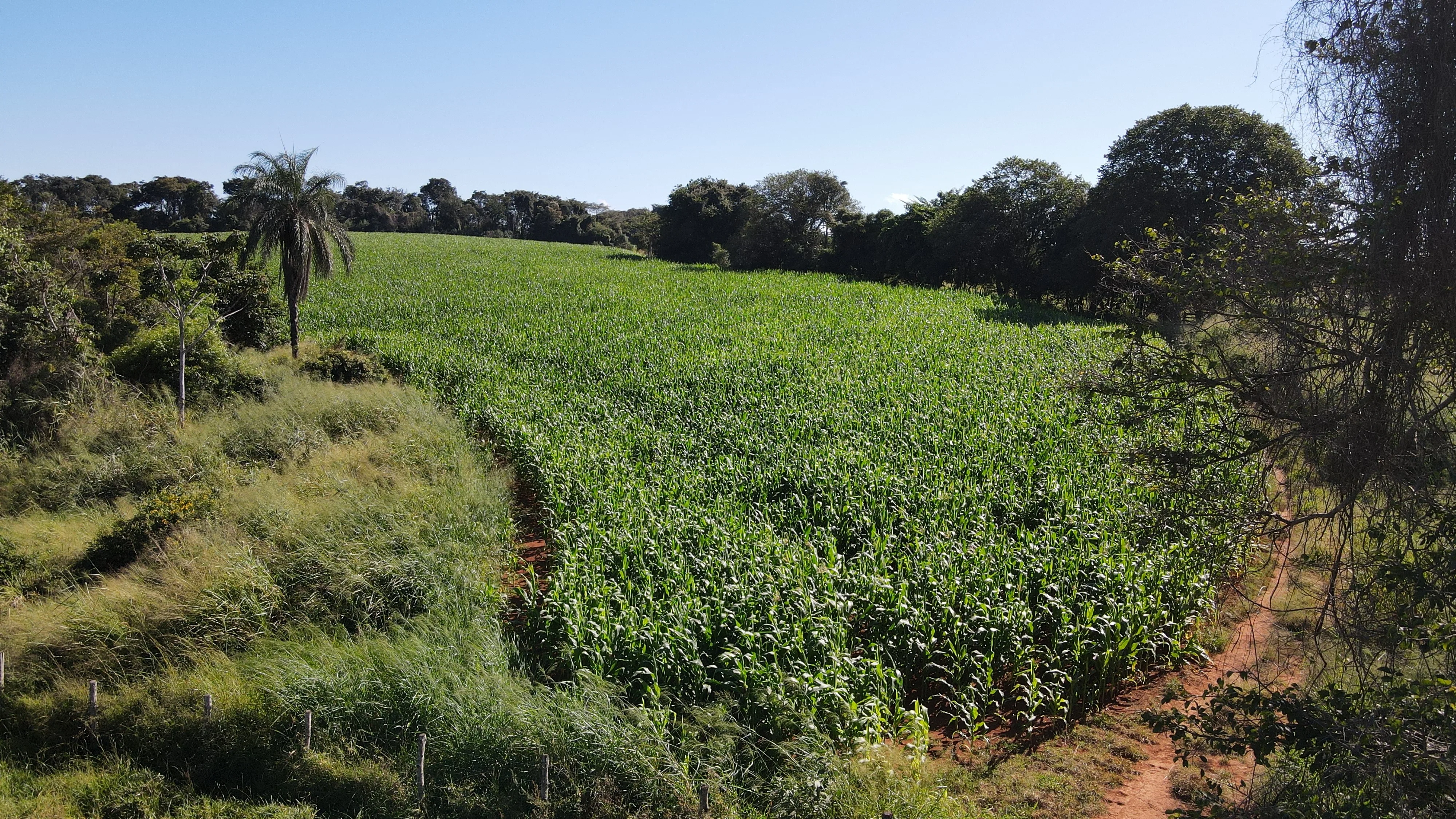FAZENDA EM SÃO BENEDITO, PATROCÍNIO
