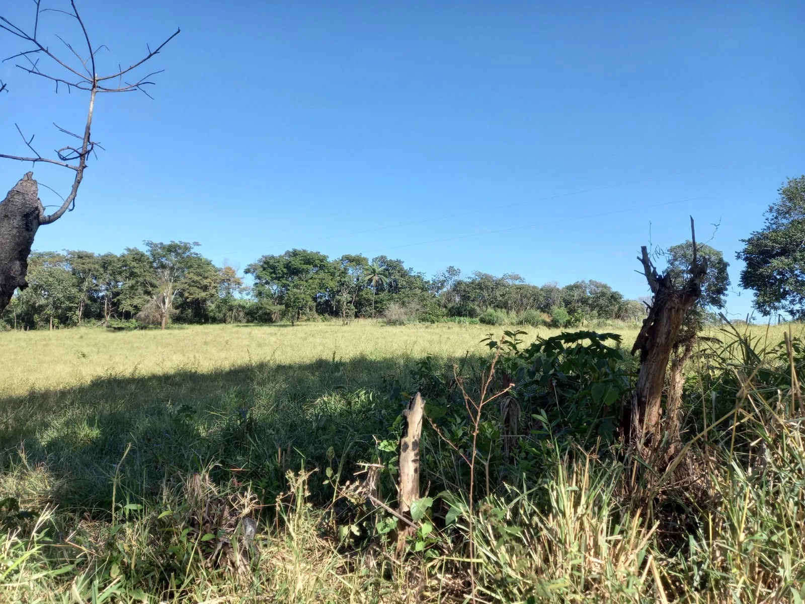 FAZENDA EM SÃO BENEDITO, PATROCÍNIO