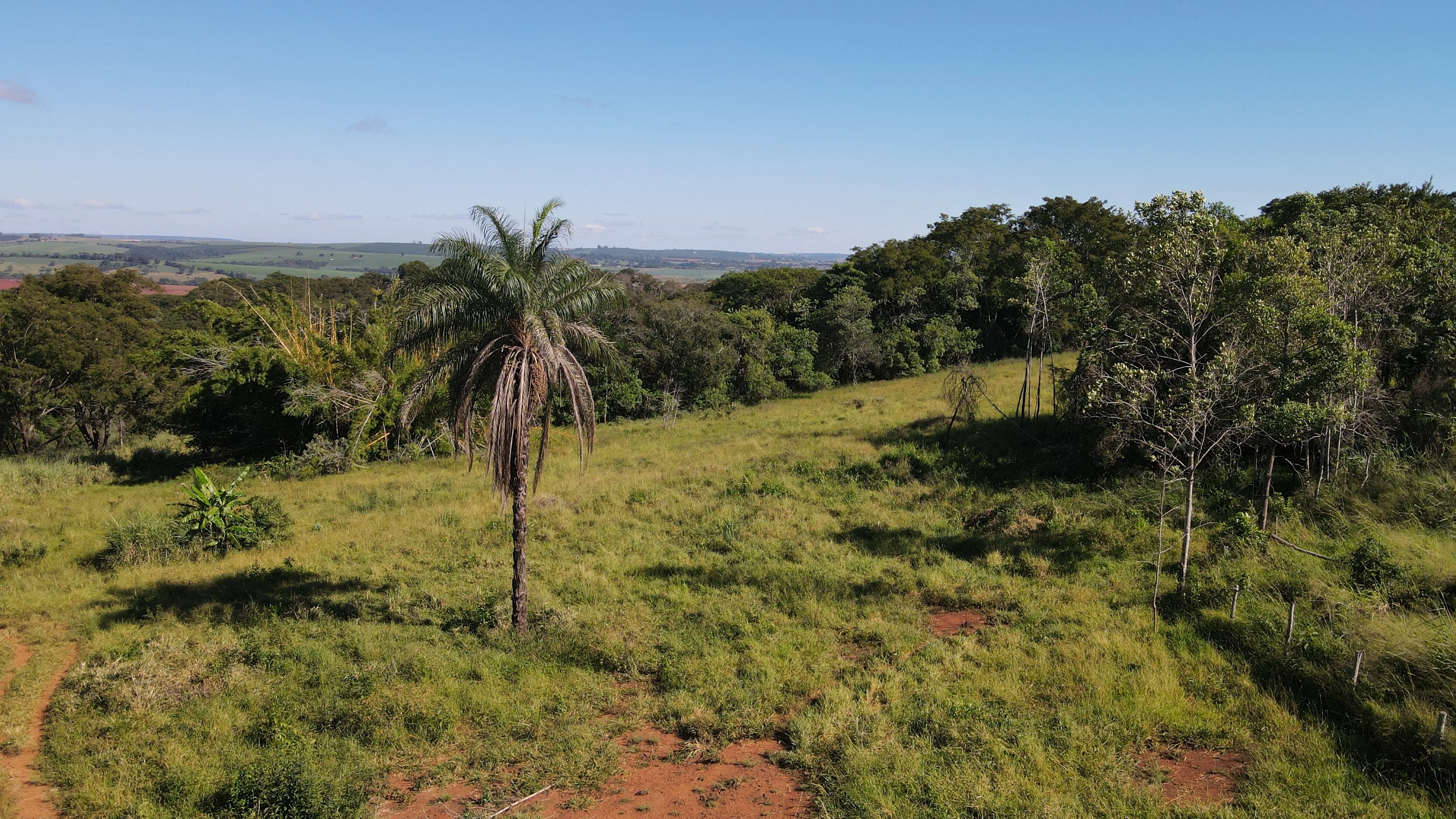 FAZENDA EM SÃO BENEDITO, PATROCÍNIO