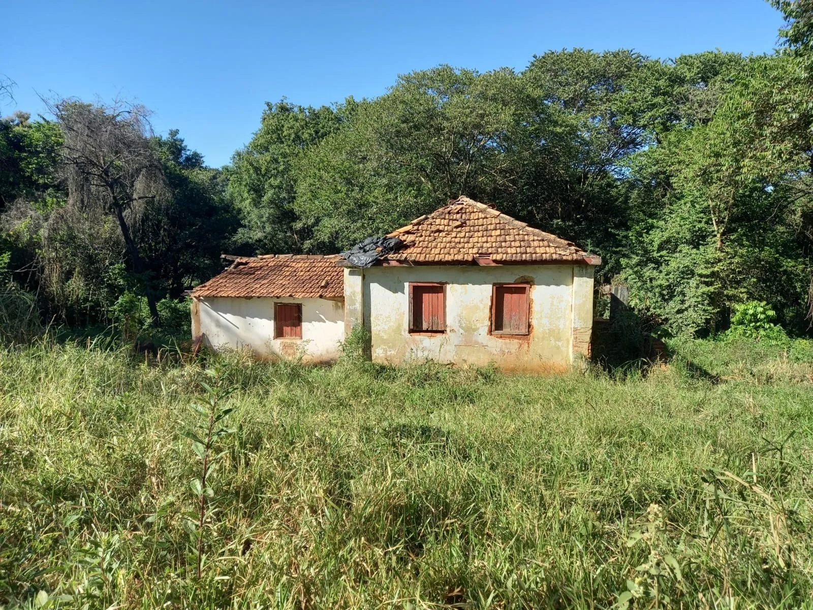 FAZENDA EM SÃO BENEDITO, PATROCÍNIO
