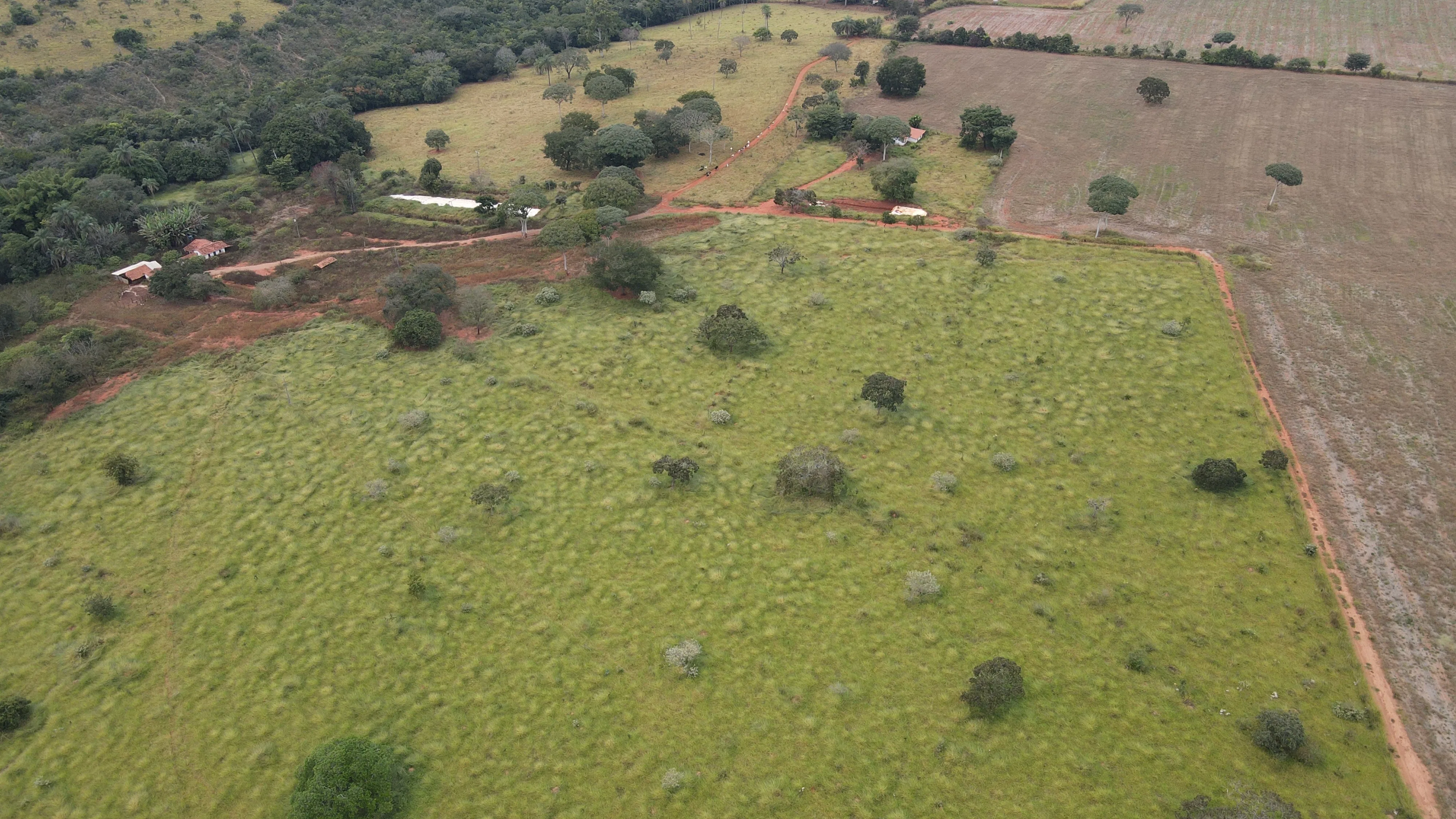 FAZENDA EM ZONA RURAL DE COROMANDEL, COROMANDEL