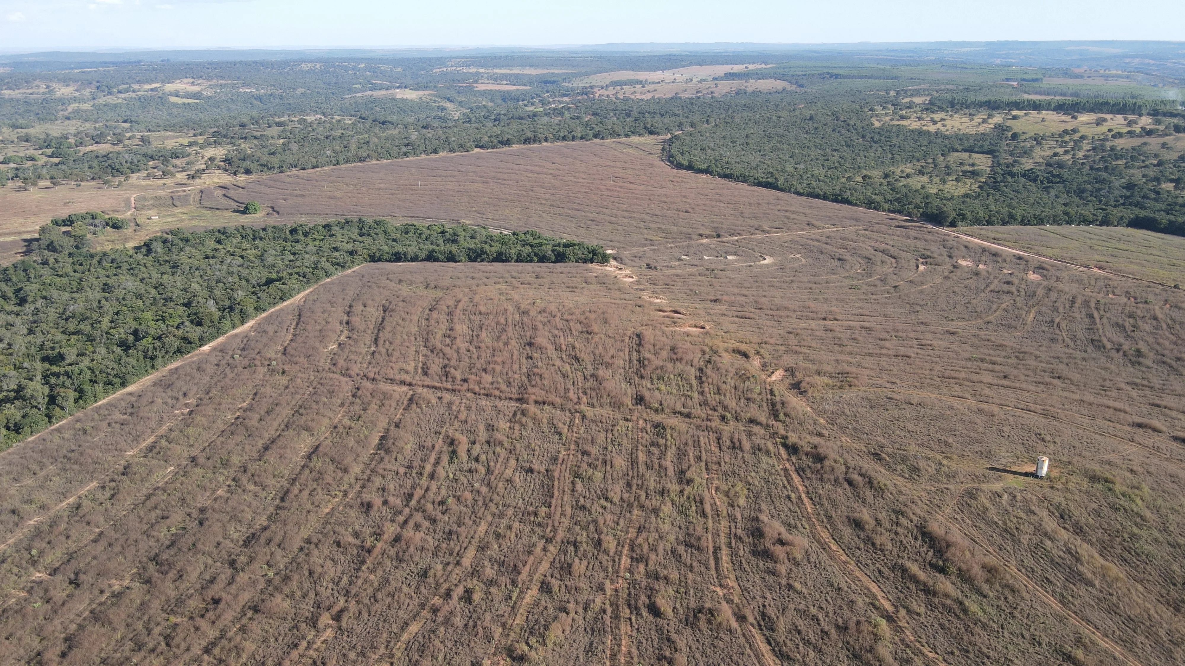 FAZENDA EM ZONA RURAL DE PRESIDENTE OLEGÁRIO, PRESIDENTE OLEGÁRIO