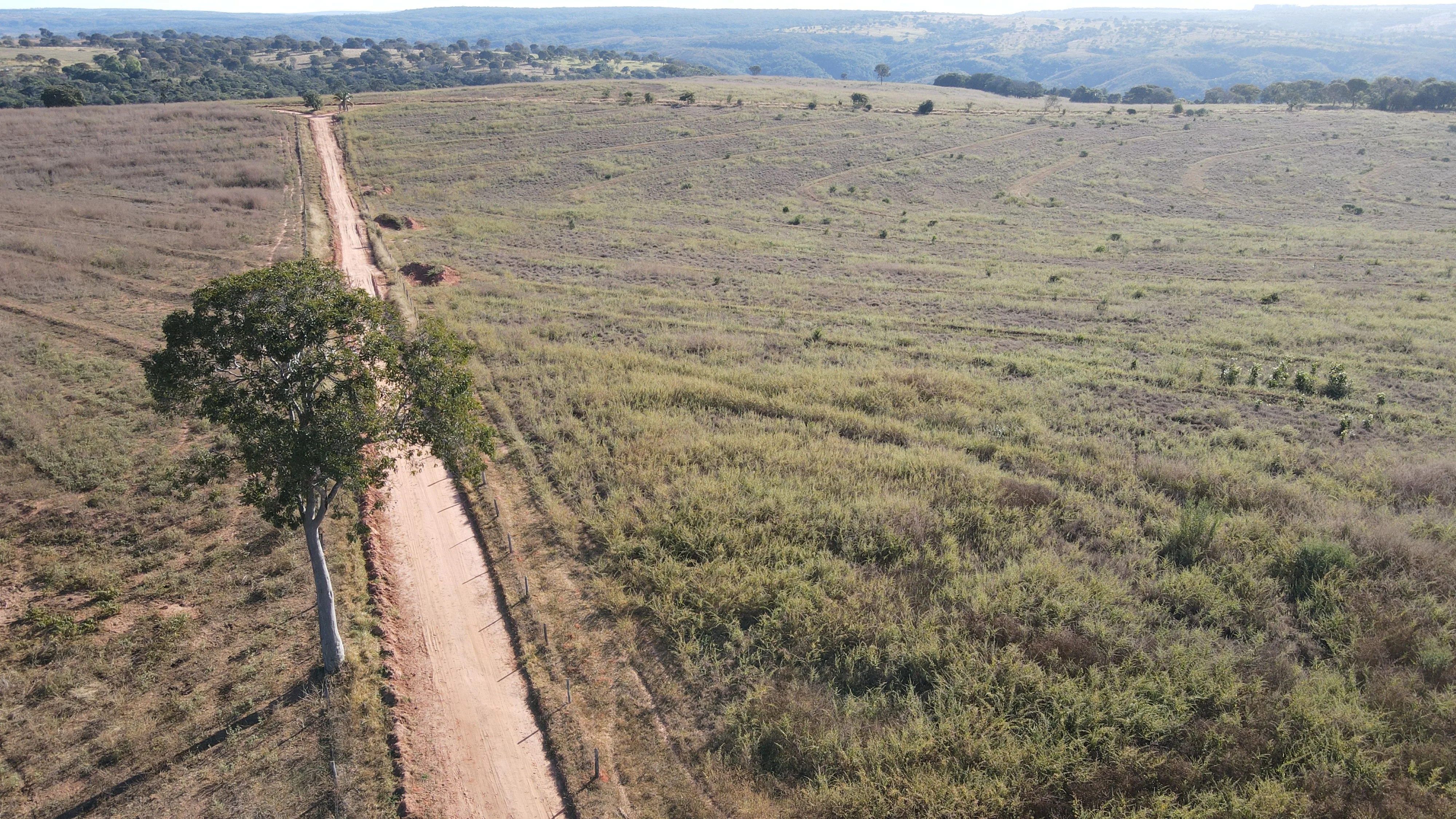 FAZENDA EM ZONA RURAL DE PRESIDENTE OLEGÁRIO, PRESIDENTE OLEGÁRIO