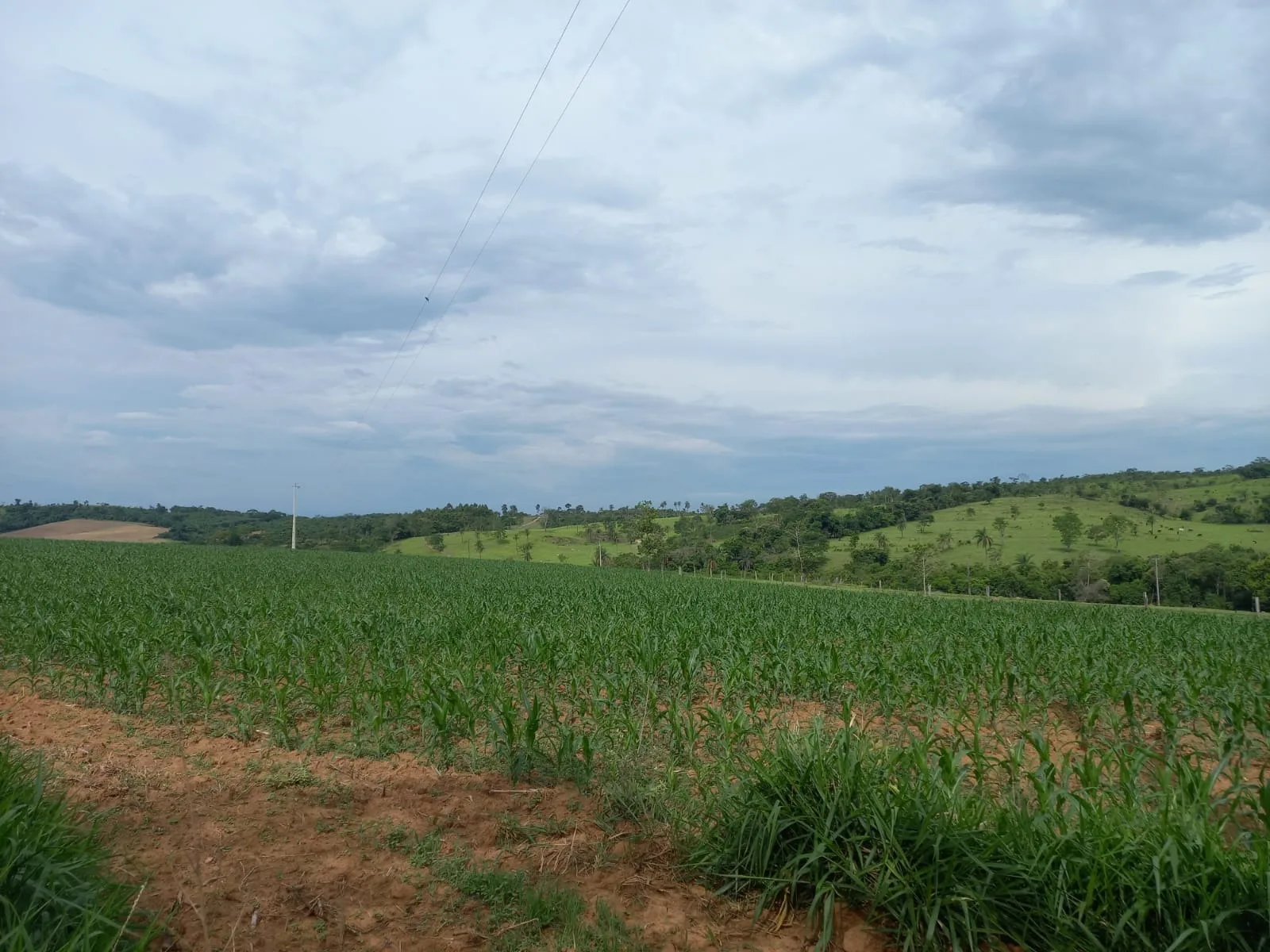 FAZENDA PARA PLANTIO NA REGIÃO DE SILVANO, EM PATROCÍNIO/MG.