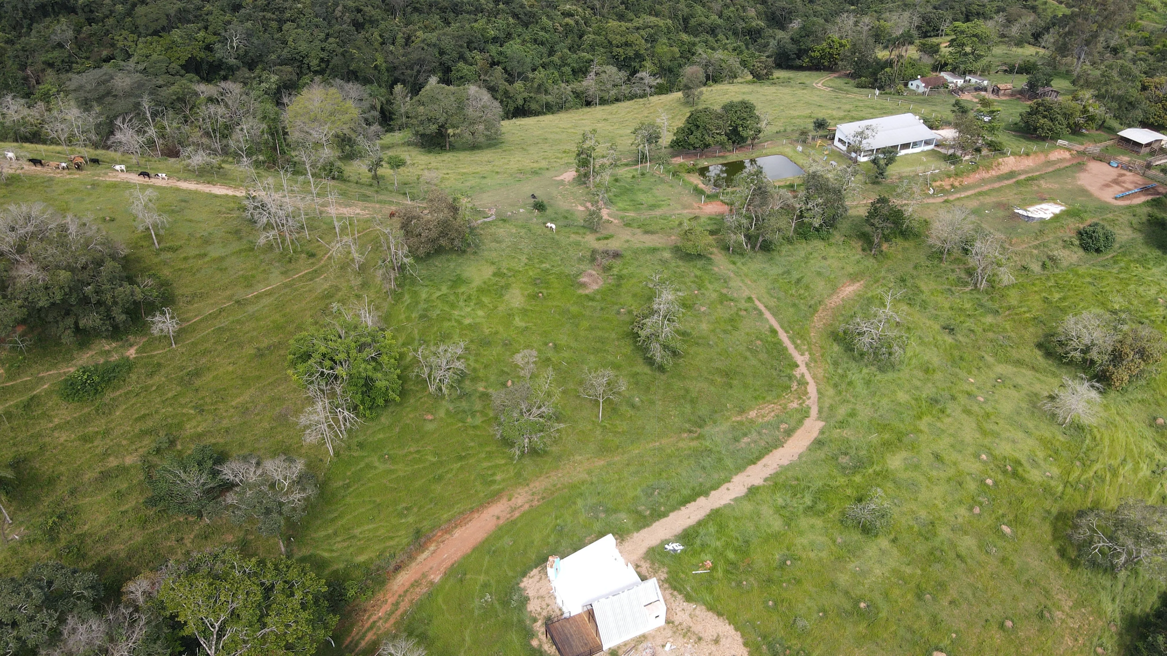 FAZENDA PARA CRIAÇÃO DE GADO COM LAZER FANTÁSTICO