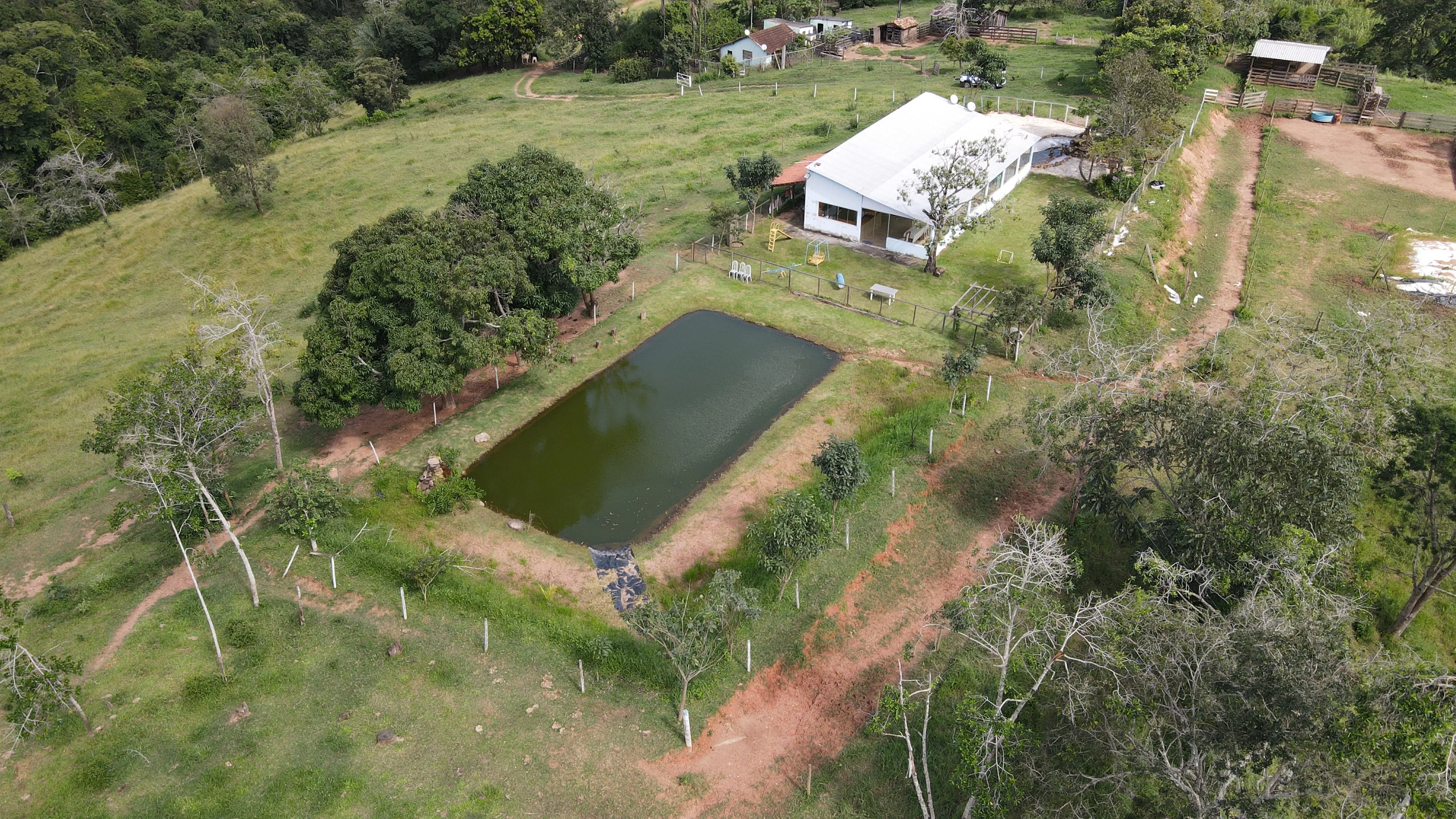FAZENDA PARA CRIAÇÃO DE GADO COM LAZER FANTÁSTICO