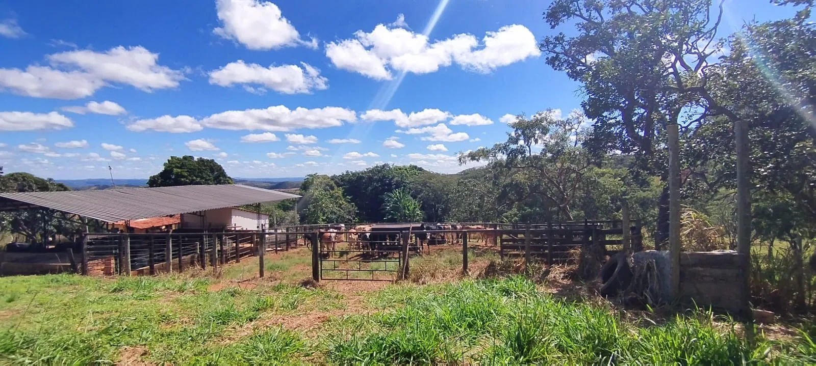 FAZENDA DUPLA APTIDÃO A VENDA EM LAGAMAR - MG