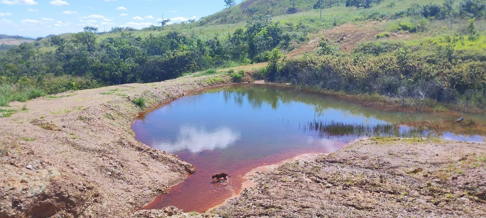 FAZENDA DUPLA APTIDÃO A VENDA EM LAGAMAR - MG
